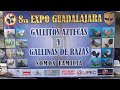 Expo Gdl MAÑANAA