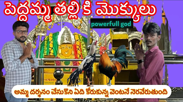 పెద్దమ్మ తల్లి కి కోళ్లు కోసినం| peddamma thalli dawath| Telangana peddamma thalli|Ak goud Vlogs