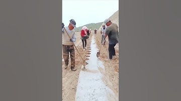 Potato planting process sharing - a good way to do things more efficiently