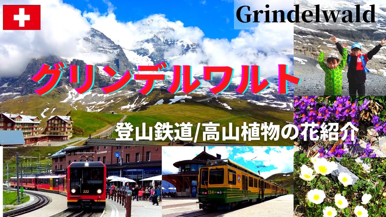 スイスアルプス絶景】グリンデルワルト登山鉄道の旅クライネ