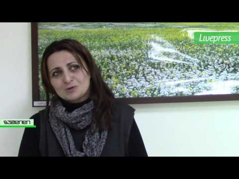 შემაჯამებელი ანგარიში