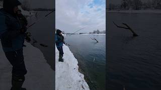 Весенние уловы на Москва Реке! #fishing