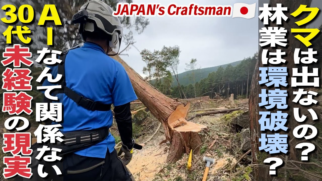 林業の現場を“そのまま”撮るとこうなる【求人募集】