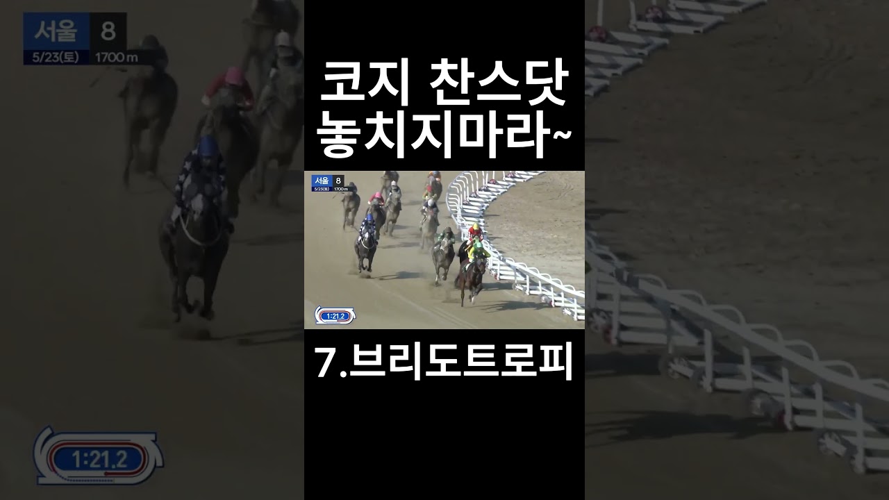 코지 찬스닷 놓치지마라   #경마  #경마예상  #경마방송  #경마예상방송  #서울경마  #금요경마  #토요경마  #일요경마 #경마장