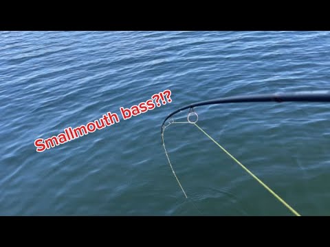 Osoyoos lake smallmouth bass fishing 🎣