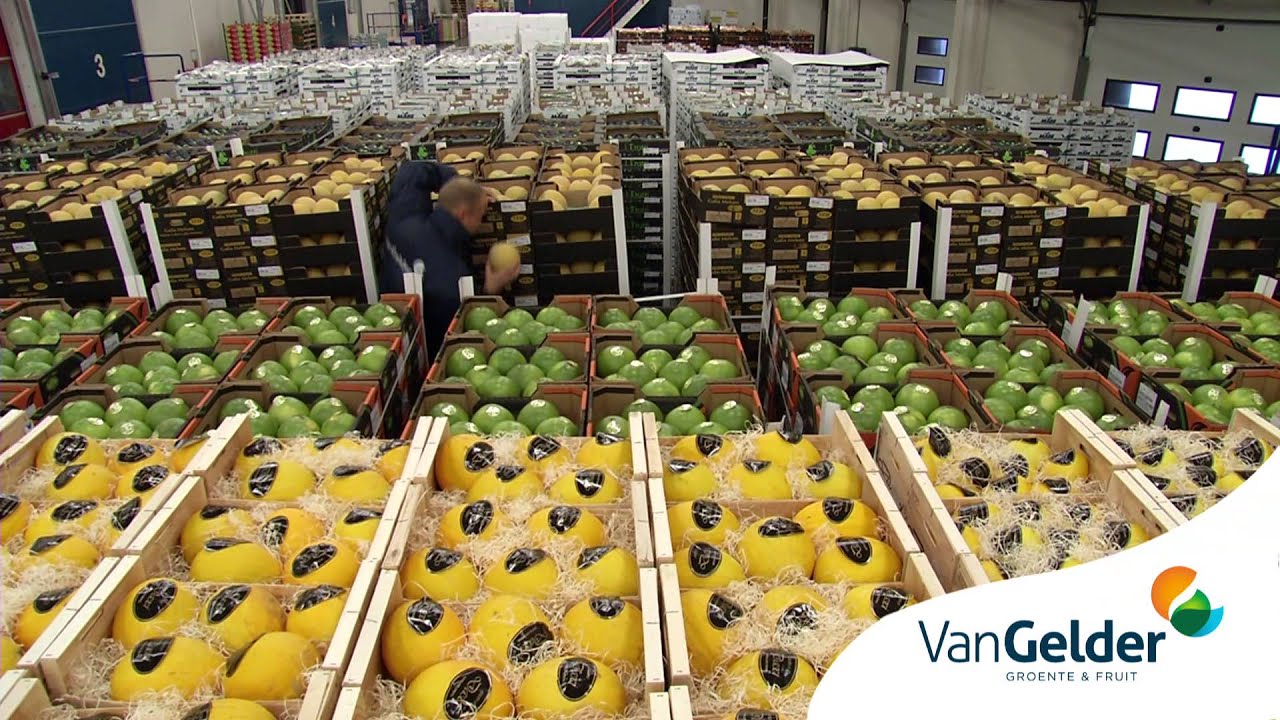 Van Gelder - Inkoop & keuring