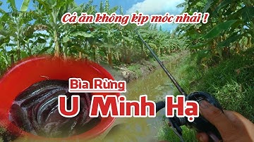 Bìa Rừng U Minh Hạ 30 con nhái câu 2 tiếng hết sạch • Cá Ăn Liên Tục  • Lure Dạo Tập 4
