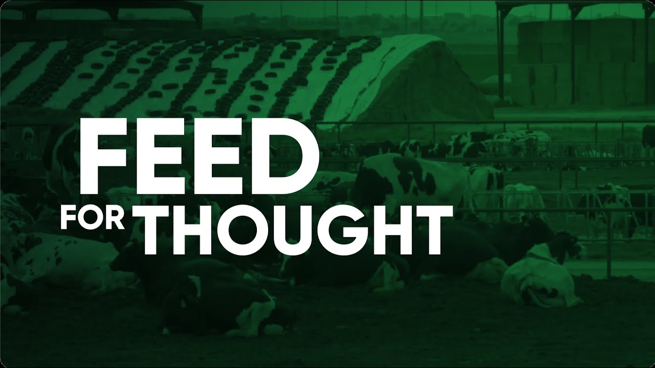 Feed for Thought: Testing for Mycotoxins