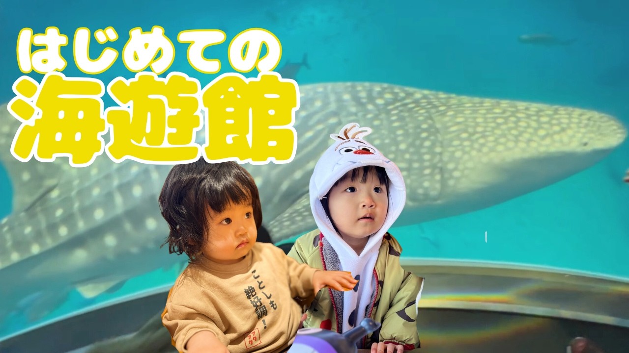 【海遊館】年子姉妹れにちゃん＆ゆずちゃんがジンベイザメに大興奮｜大阪お出かけ