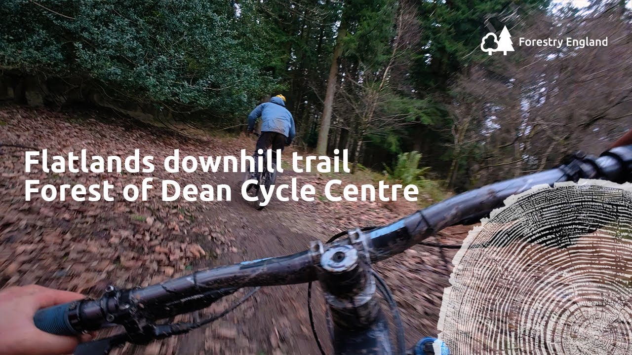 Flatlands | red downhill mountain bike trail PoV | Forest of Dean cycle centre cycle
