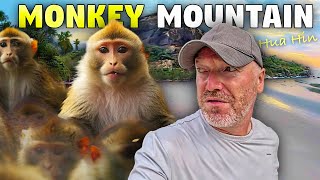 Monkey Madness in Hua Hin, Thailands Expat Paradise