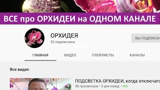 510 видео про орхидеи и 133 плейлиста по уходу за орхидеями