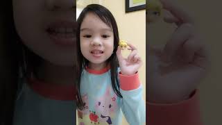 Fily Anak Raja
