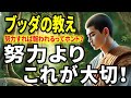 【ブッダの教え】努力すれば報われるってホント？努力よりも、それ以上に大事なことがあります！
