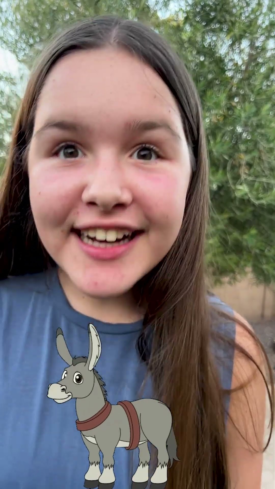 donkey noise - #kidslearning