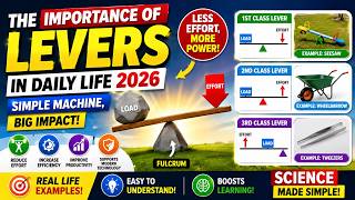 The Importance of Levers in Daily Life 2026 | Simple Machines That Changed the World