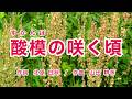 酸模の咲く頃｜歌詞付き｜土手のすかんぽ ジャワ更紗｜大人のための童謡・唱歌｜Romanized: JP subs
