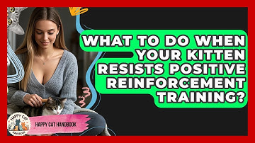 What To Do When Your Kitten Resists Positive Reinforcement Training? - Happy Cat Handbook