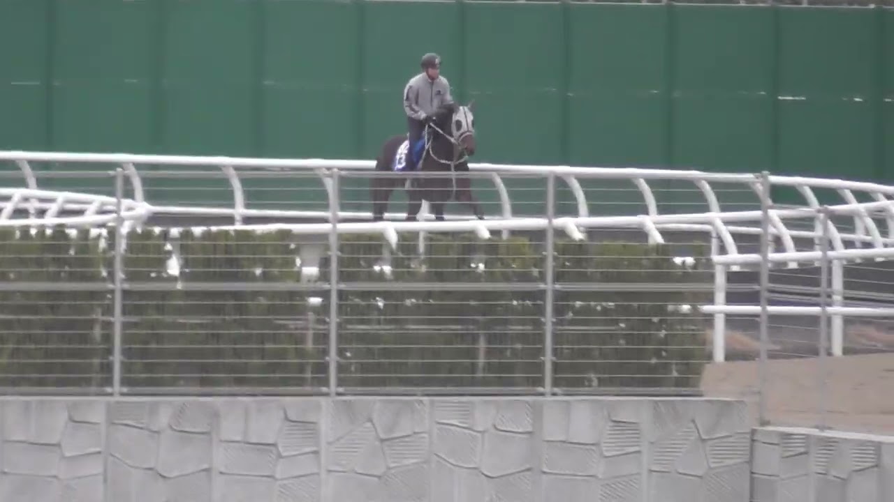 バトンロード260226