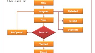 06:  Bug life cycle in Software Testing, how to raise a bug