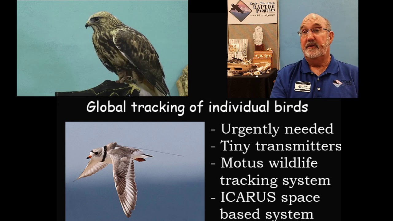 Migration Monitoring Needs and Tools