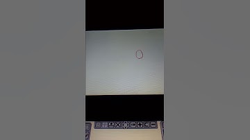 Inchworm animation test