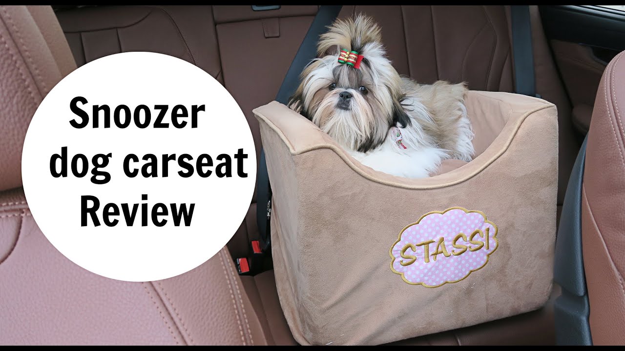 Snoozer Lookout Dog Carseat Review YouTube