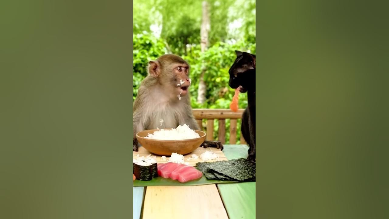 #music #song #oldies #vintage #cat #cute #kucinglucubandung #monkey #tiktok #pets #funny #ai #music #song #oldies #vintage #cat #cute #kucinglucubandung #monkey #tiktok #pets #funny #ai