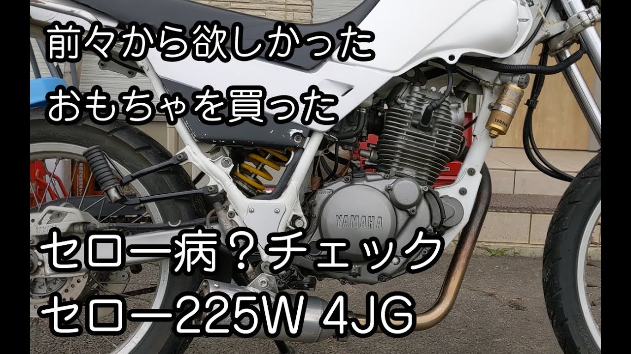 ヤマハ セロー225   購入者決まりました 走り継ぐべき絶版オフロードマシン：'93 ヤマハ セロー225〈Past Time