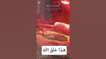 هَـٰذَا خَلْقُ اللَّهِ #سورة لقمان#ماهر_المعيقلي#قران_كريم #قرآن #حيوانات#زواحف#حديقة_حيونات #