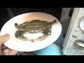 【閲覧注意】カニを絶対に電子レンジに入れたらダメ!!!Useless if you crab absolutely put in the microwave ! ! !