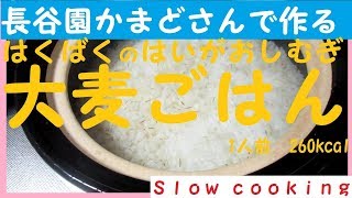 1人前260kcal 長谷園かまどさんで作る はくばくの胚芽押麦 大麦ごはん