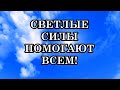 СВЕТЛЫЕ СИЛЫ ПОМОГАЮТ ВСЕМ! Как попросить Божественной поддержки и помощи?