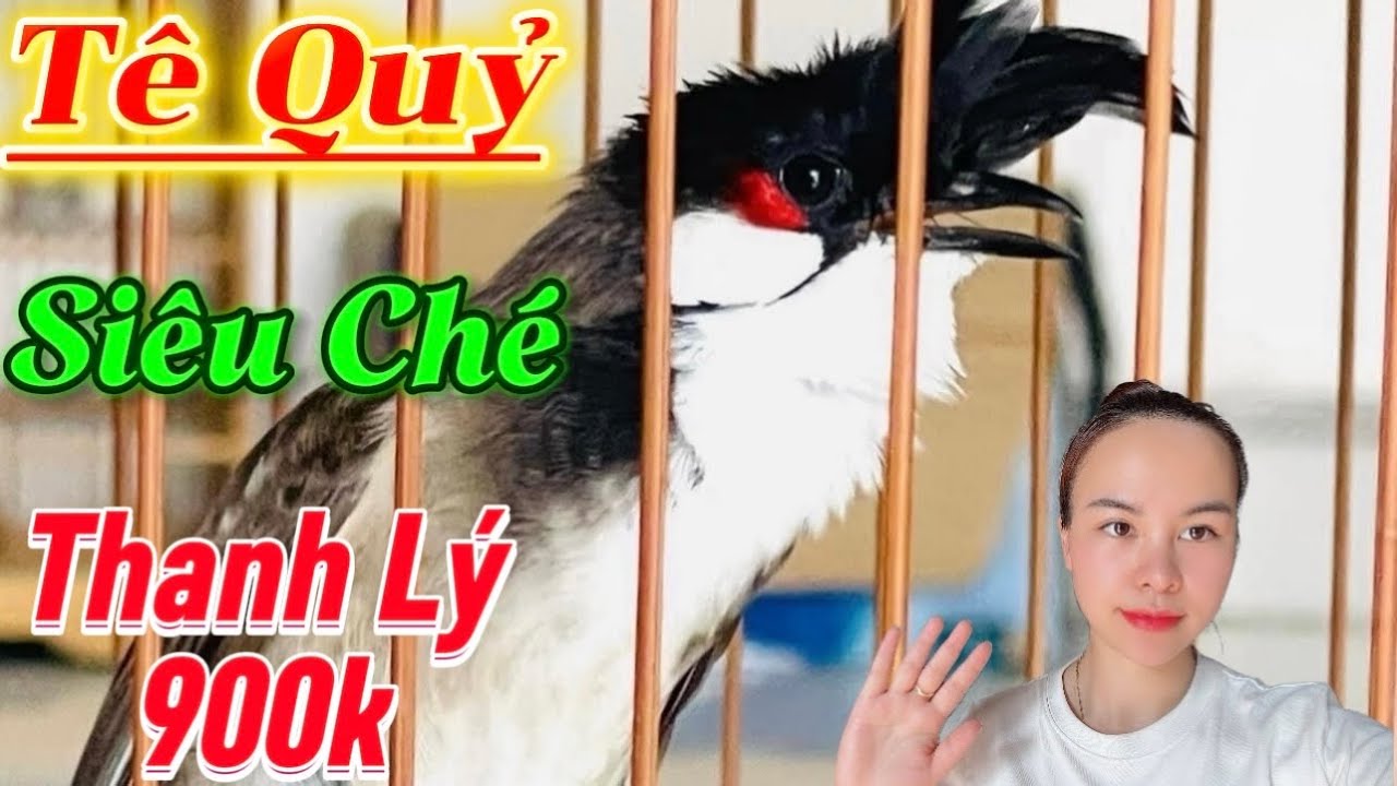 4/2 Thanh Lý Siêu Phẩm Bổi Vip/Hàng Đầu Đàn Siêu Gấu Chó/Phách Chơi Siêu Cánh Máy Ché/Ma Tốc Độ Lật