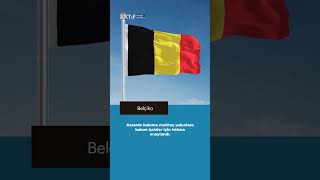 Belçika'da işsizlik ödeneği reformu sürecinde Devlet Konseyi kararı