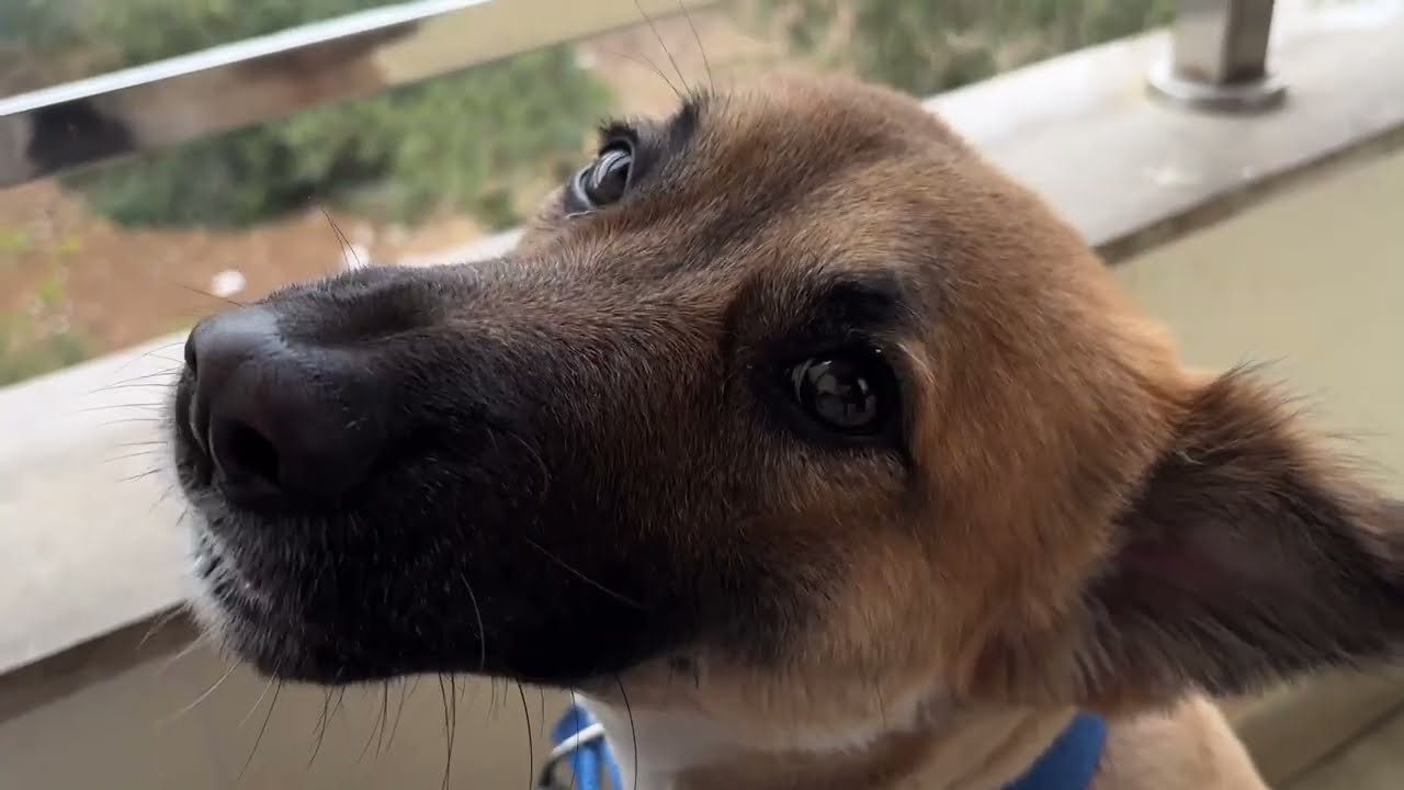 Mausam hua suhana😍Day26✨