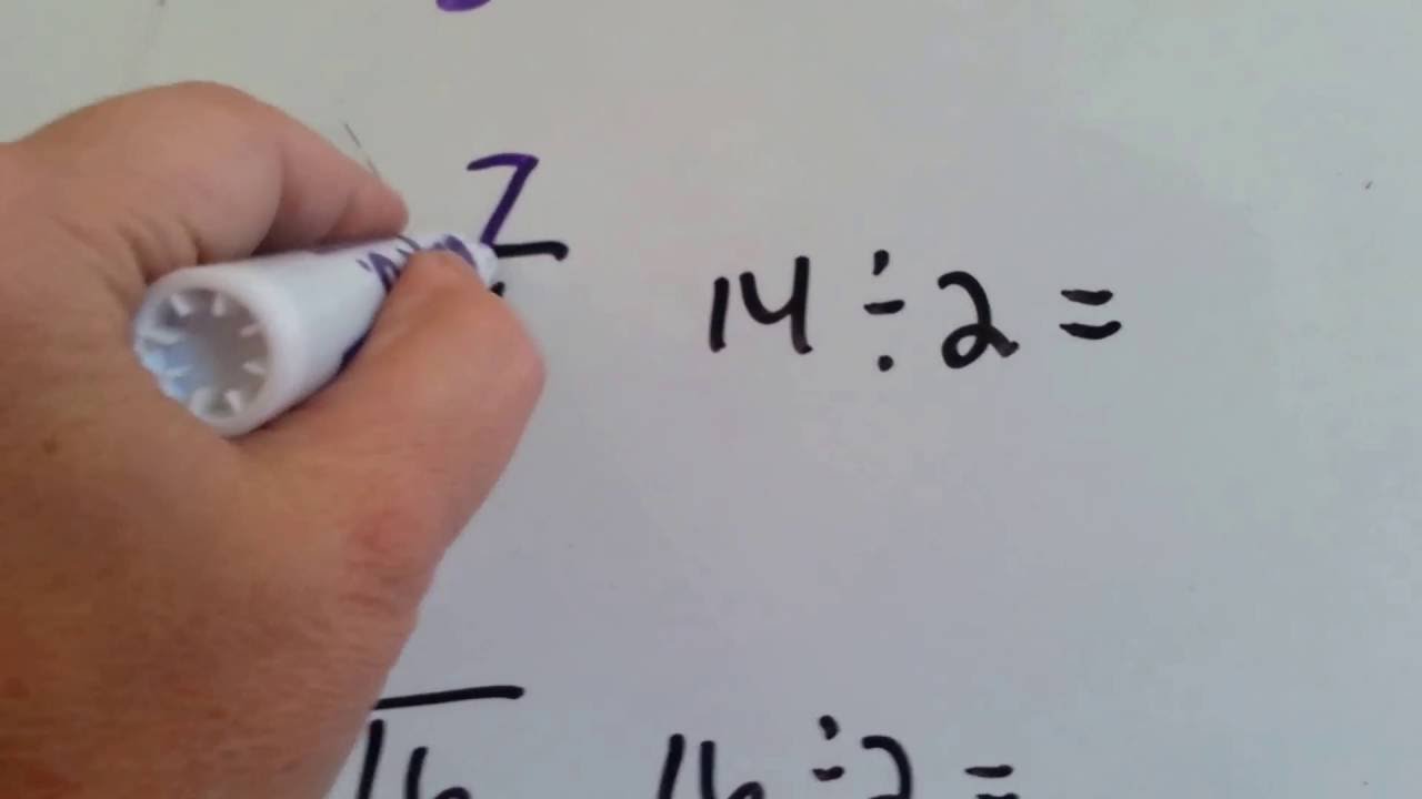 grade-3-math-7-1-divide-by-2-youtube