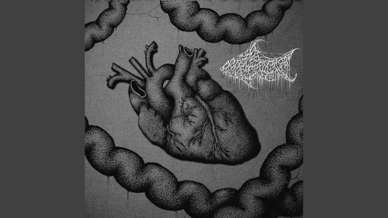 THE PERFECT KILLING MACHINE