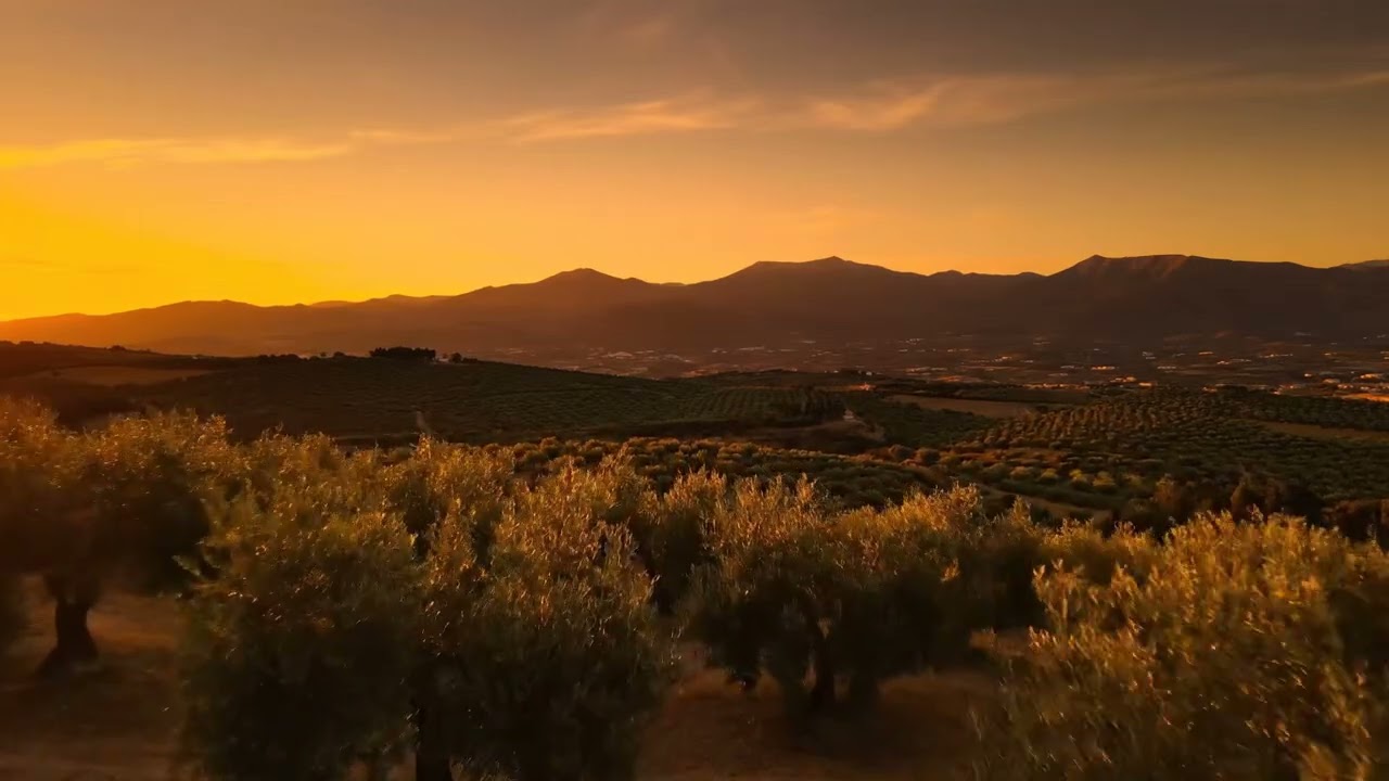João Pedro Braga playing Spanish Caravan (The Doors Cover)