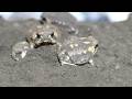 Cute Daily Life of Rain frogs🐸