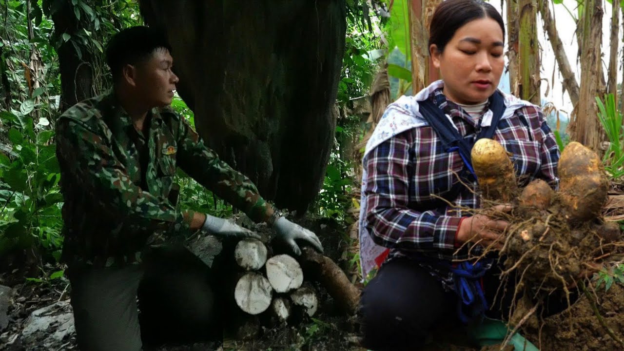 Zhao Long and Zi Yun found a strange dish and a rare herb.