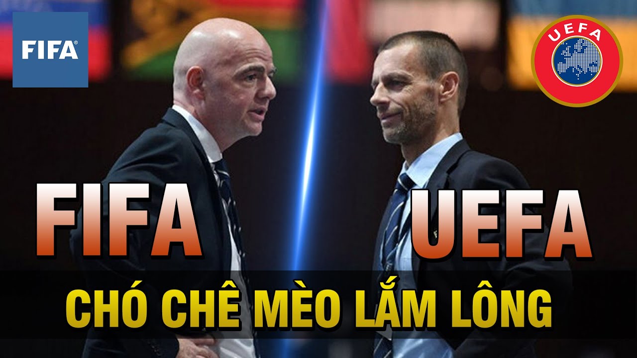 UEFA ĐẤU ĐÁ FIFA VÌ KẾ HOẠCH WORLD CUP 2 NĂM 1 LẦN: CHÓ CHÊ MÈO LẮM LÔNG!