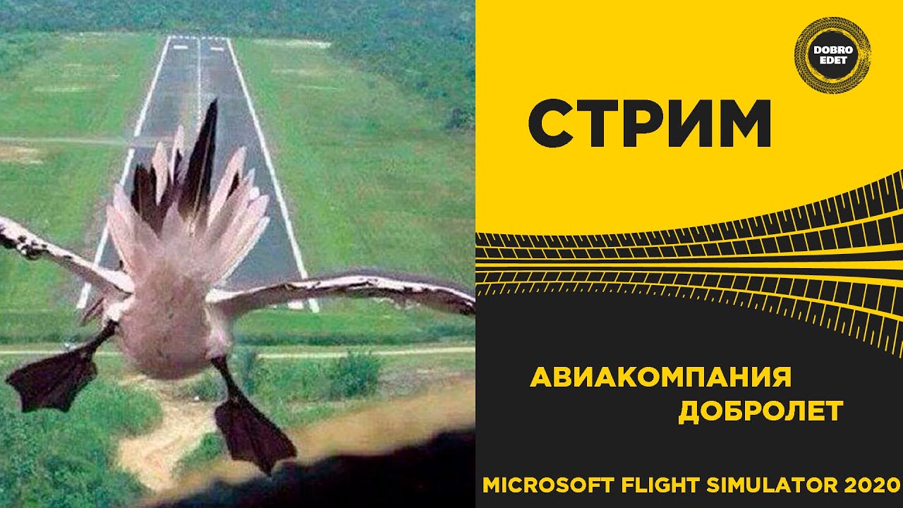 ✅ MFS 2020 ●АВИАКОМПАНИЯ ДОБРОЛЕТ●Live Stream●LOGITECH 3D PRO