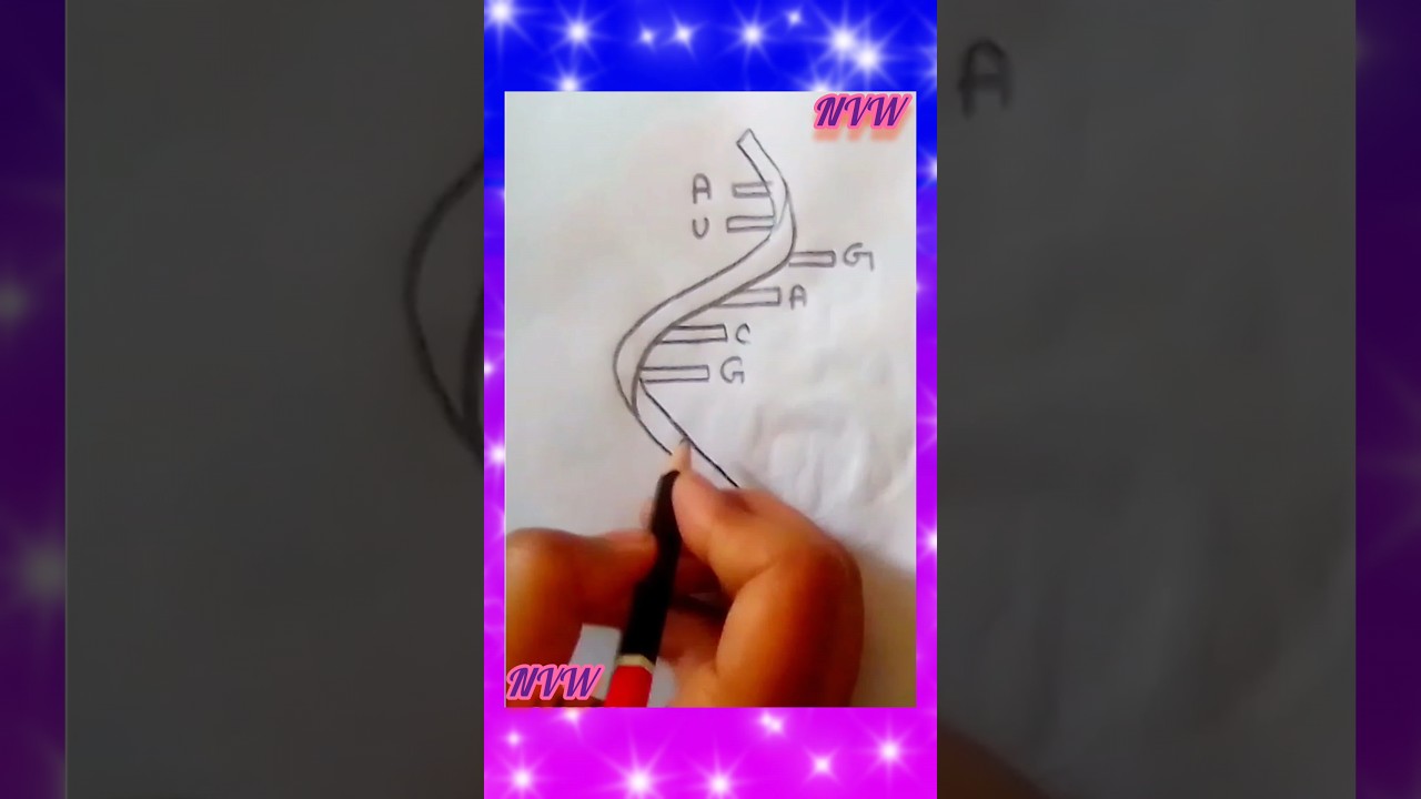 How to draw RNA. কিভাবে RNA  আকাঁ যায় 
