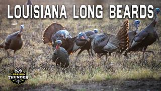 LOUISIANA TURKEY Hunting | Off the Roost | Spring Thunder