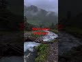 River #naturelovers #Shortvideo @REGIEGACAYAN-2