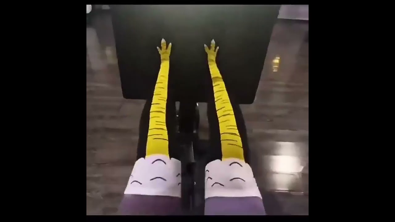Calcetines con diseño divertido de patas de pollo