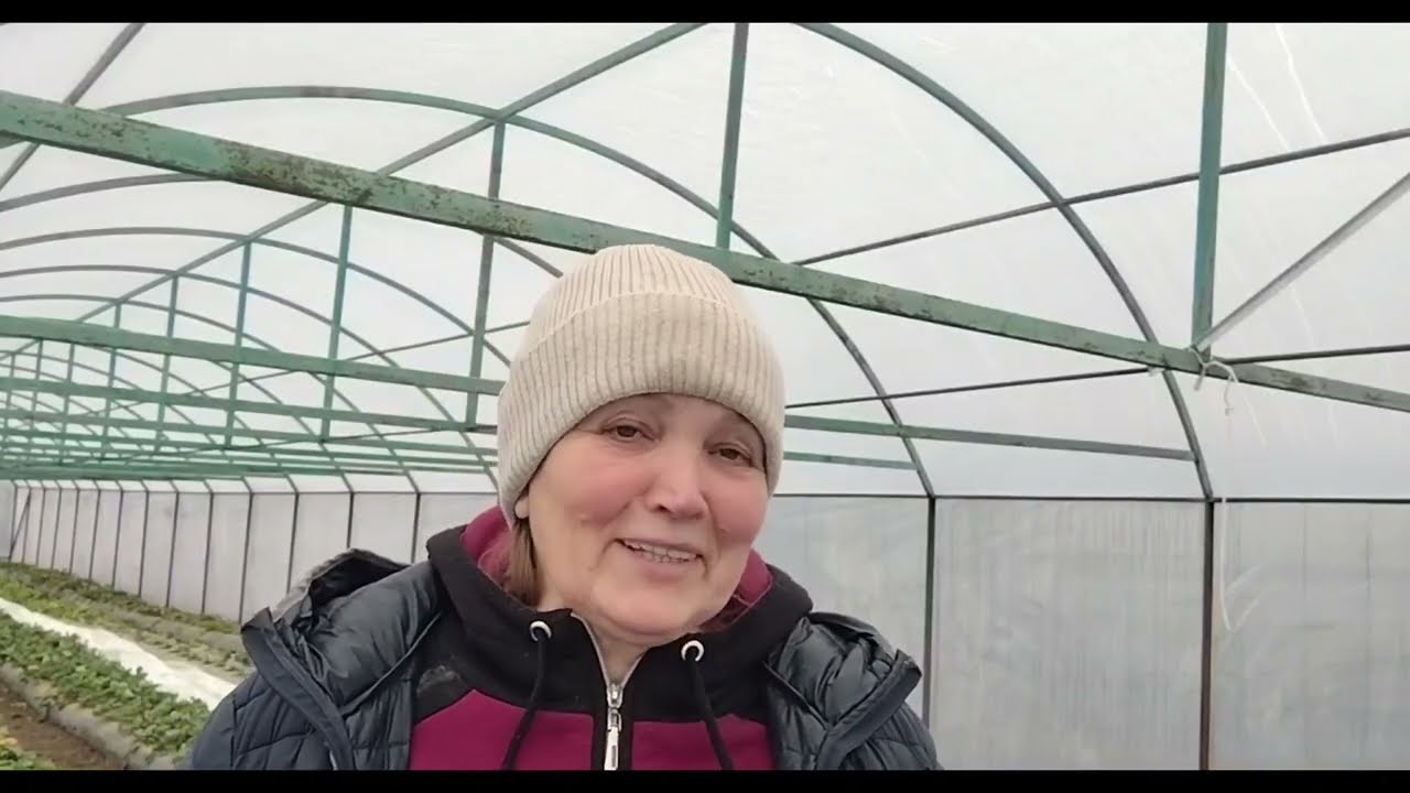 3 частина, полуниця на весну: сенсація, фейт, мальвіна, русанівка, г/джорнея, апріка.