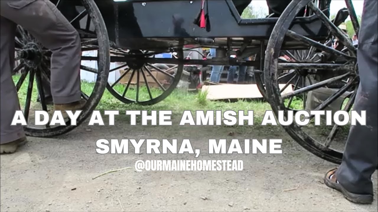 A Day at The Amish Auction // Annual Consignment Auction // Smyrna