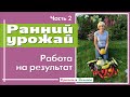 Ранний урожай. Работаем на результат Ч2